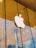 A brightly lit Apple logo mounted on the glass facade of a modern building with a wooden ceiling and metallic columns. Reflections and indoor plants are visible through the glass.