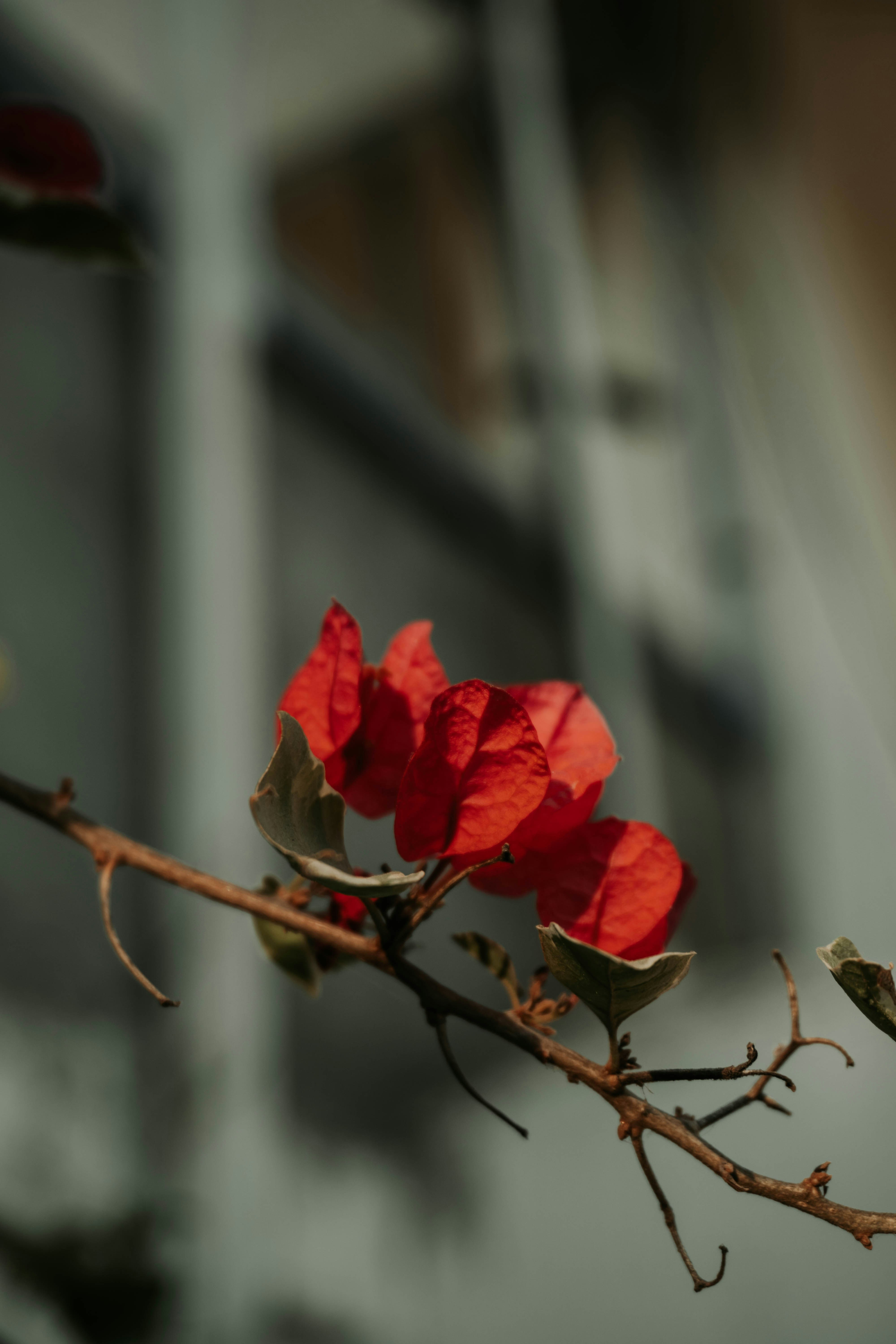 Photo by shotbyrayyan