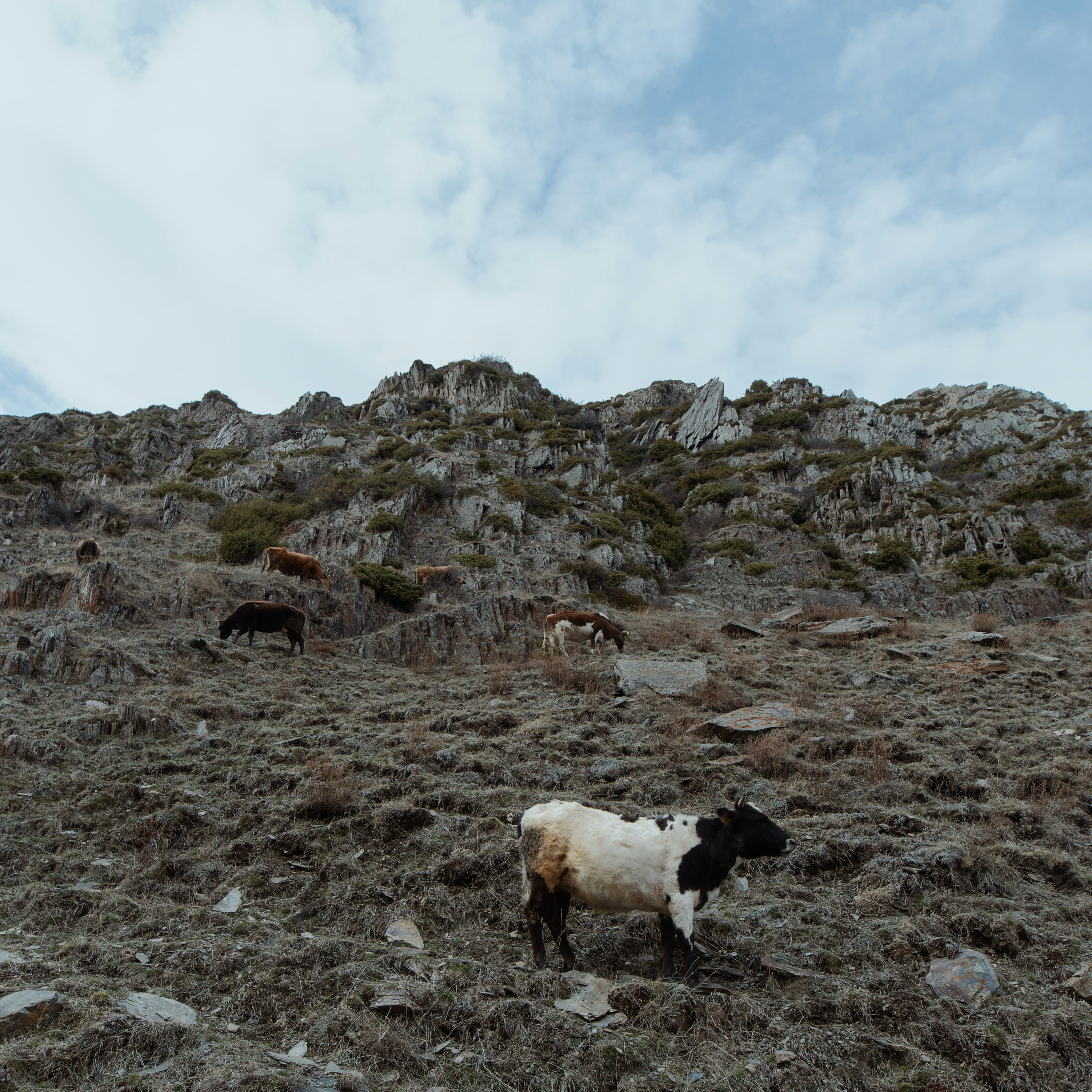 Photo by evil_bumblebee