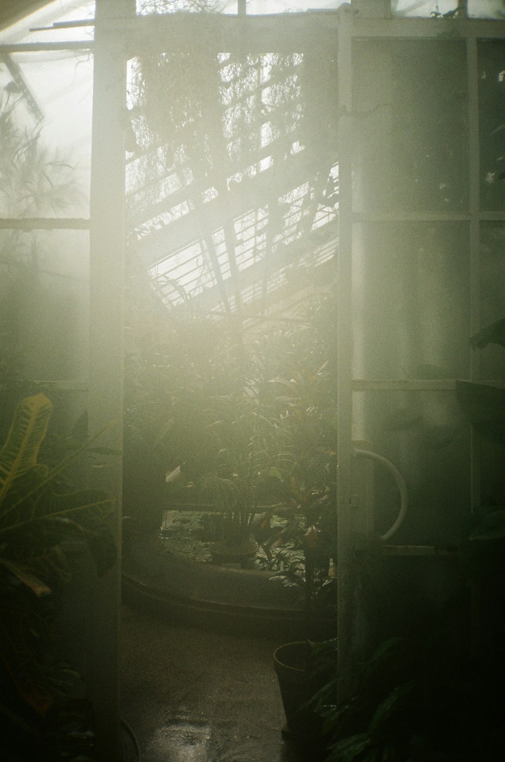 the sun shines through the window of a greenhouse