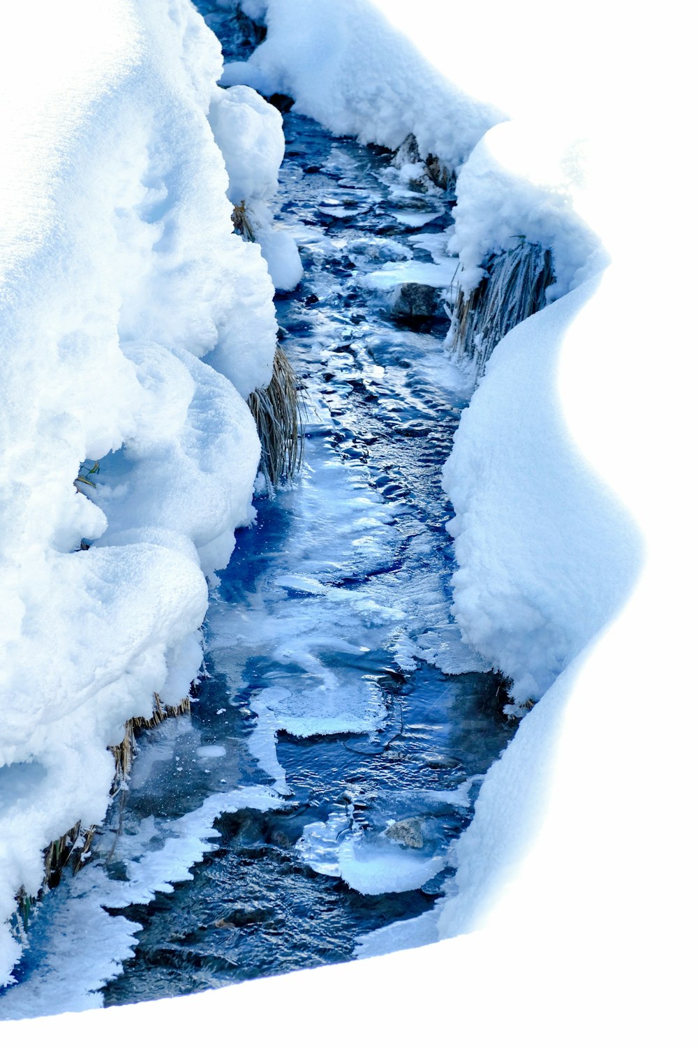 um fluxo de água que corre através de uma paisagem coberta de neve