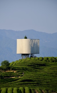 A unique structure with a white, cylindrical canopy stands elevated above a lush, green tea plantation. Rolling hills of neatly arranged tea bushes create a textured landscape, with a backdrop of distant blue mountains under a clear sky. A few people can be seen wandering among the tea rows, adding a sense of scale and activity to the scene.
