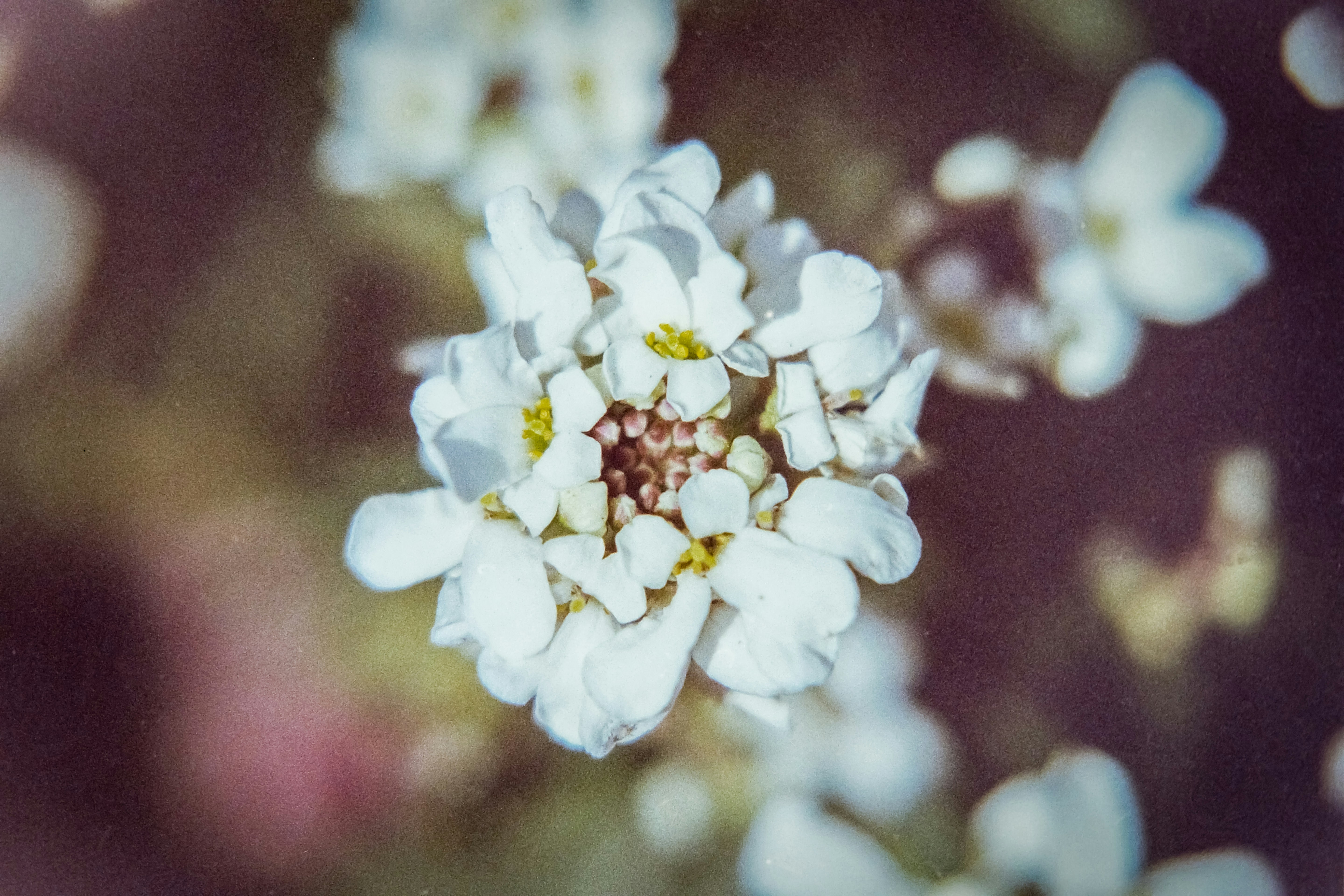 Photo by artistseyes