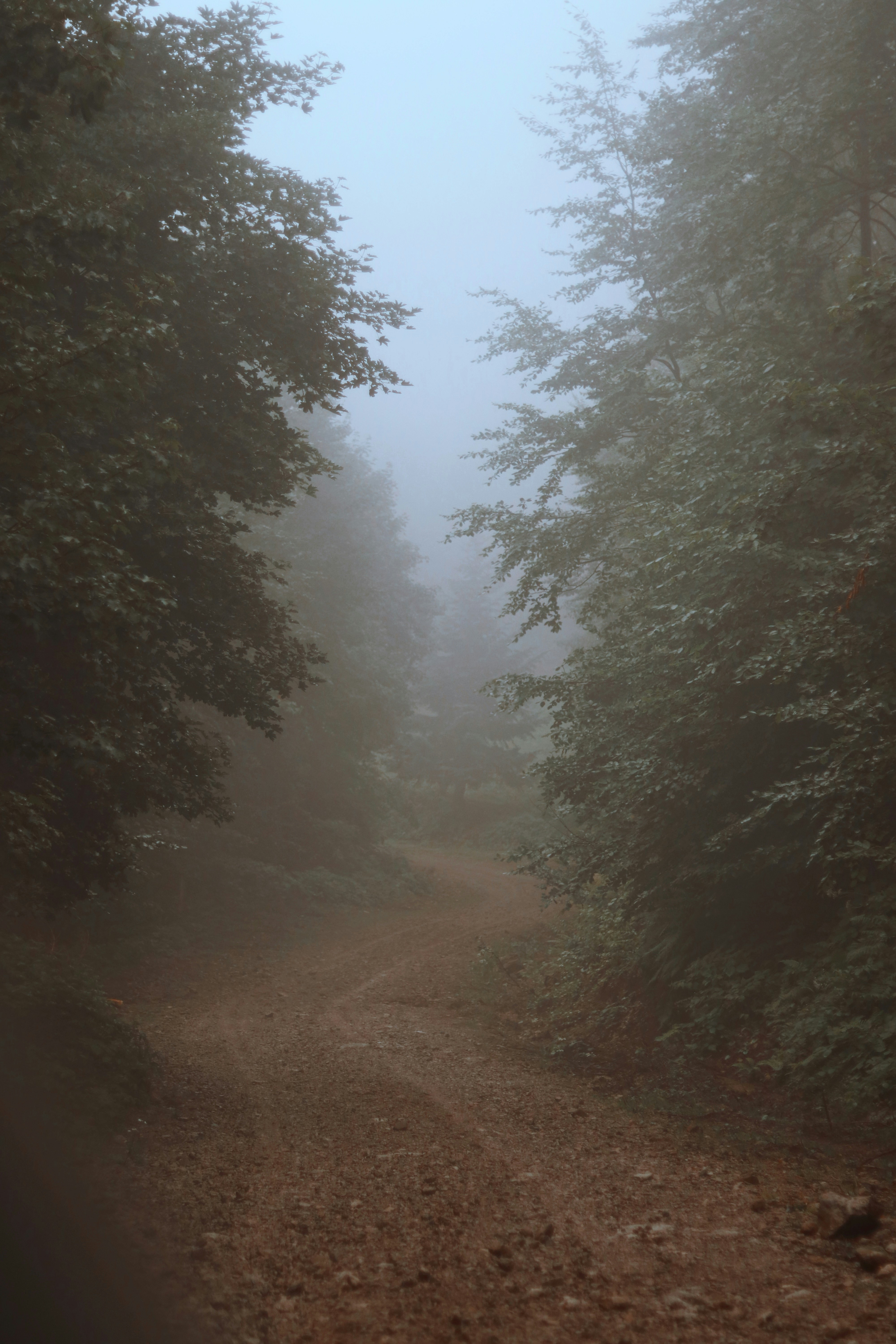 Photo by mustafacimen