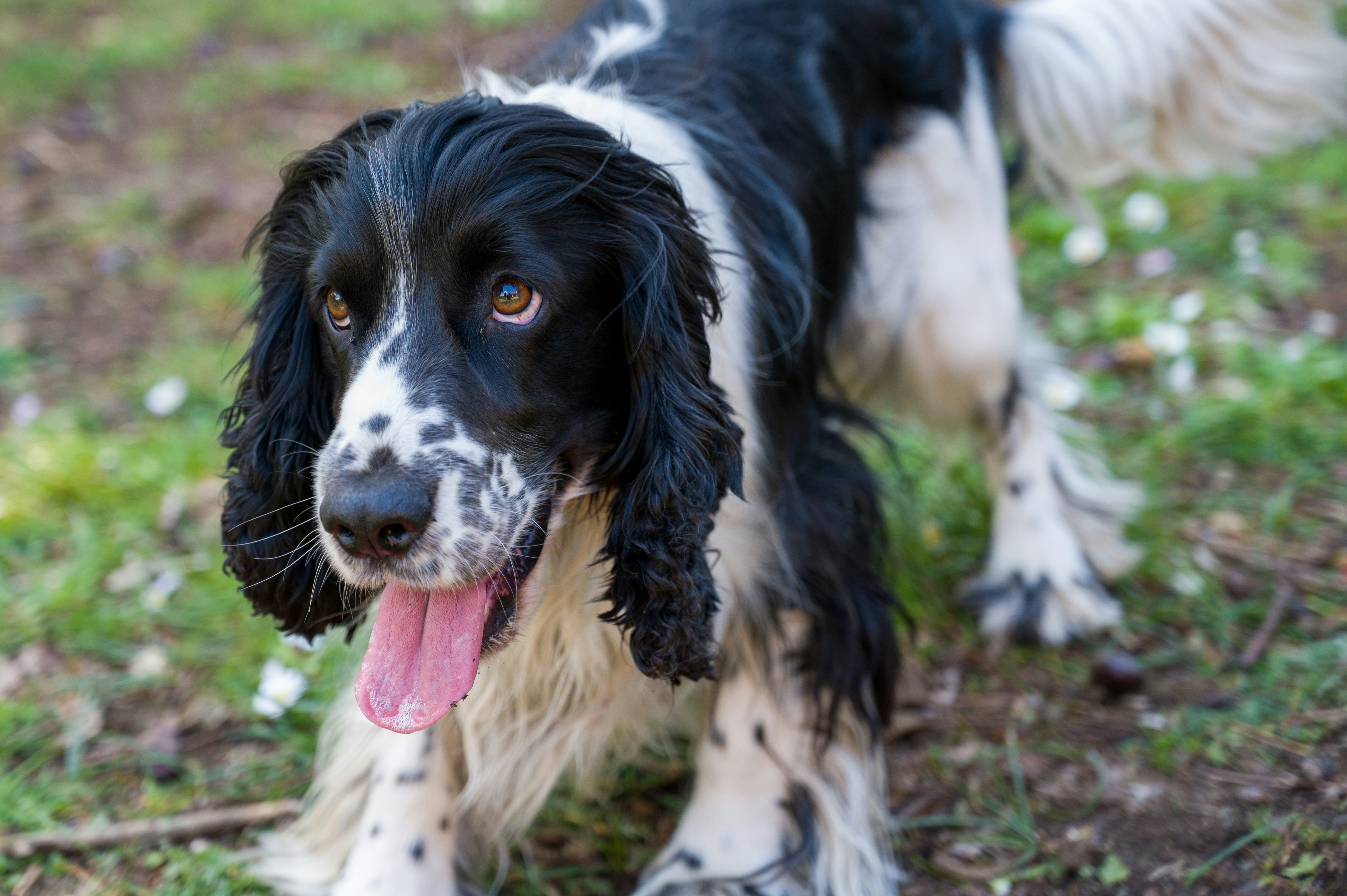 Photo by matteodelpiano