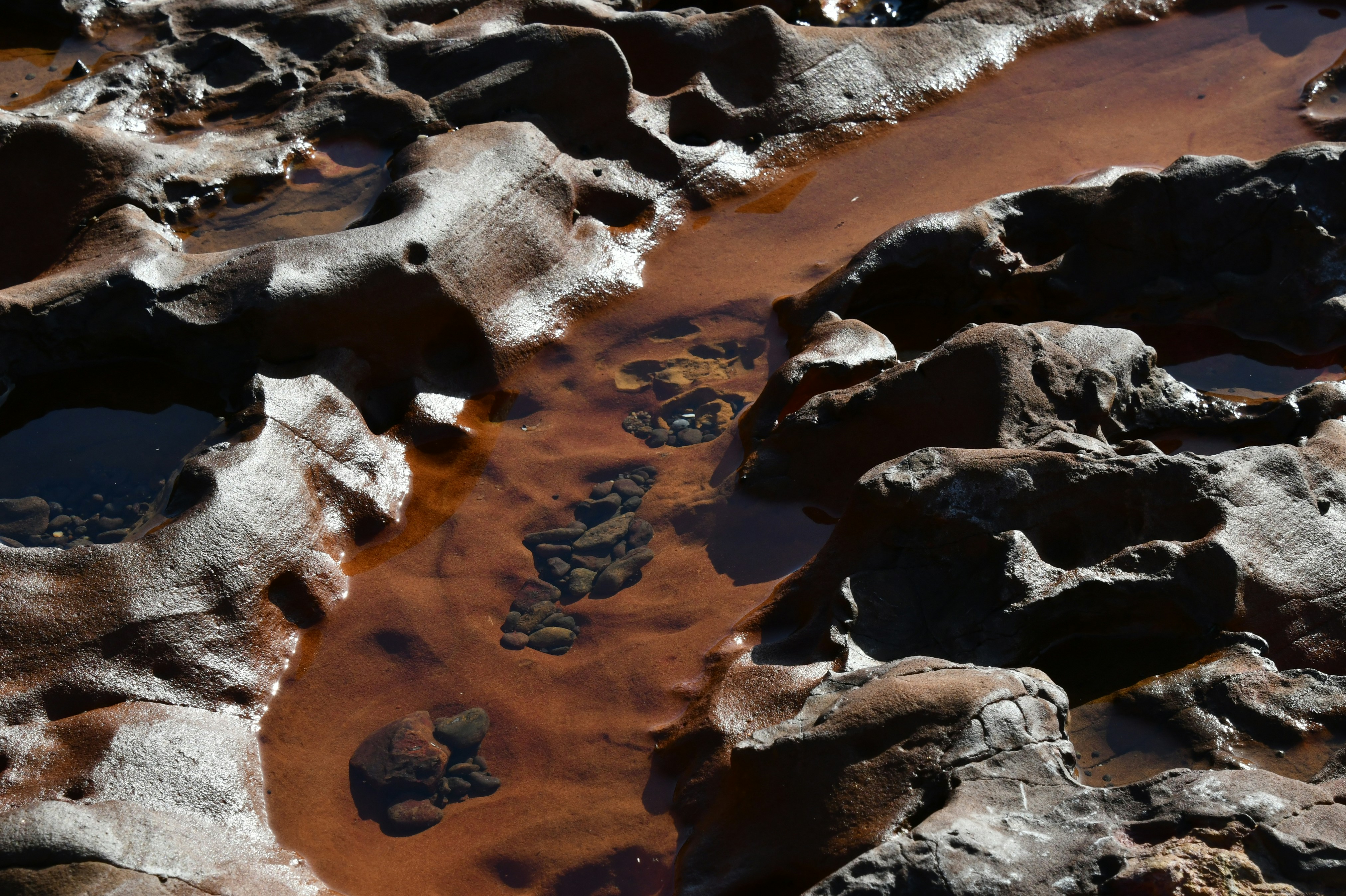 Photo by richard7seals