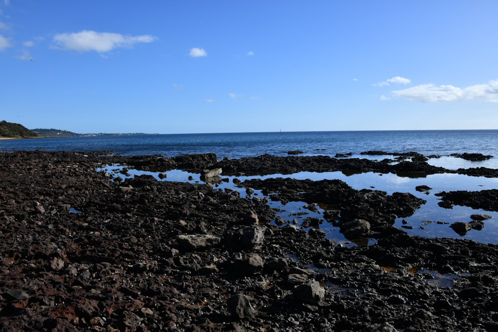 a rocky beach with a body of water in the background