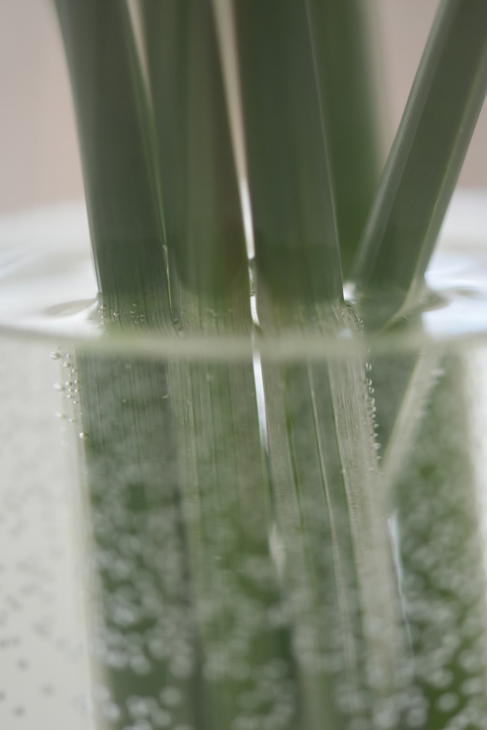 a close up of a glass vase with water