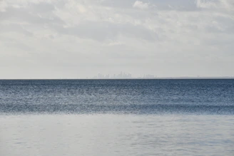 A distant city skyline viewed across a tranquil ocean, with charcoal and ivory hues blending softly.