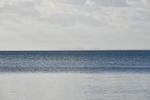 A distant city skyline viewed across a tranquil ocean, with charcoal and ivory hues blending softly.