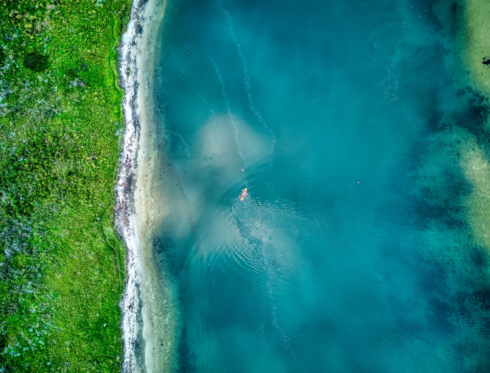 a body of water surrounded by lush green grass