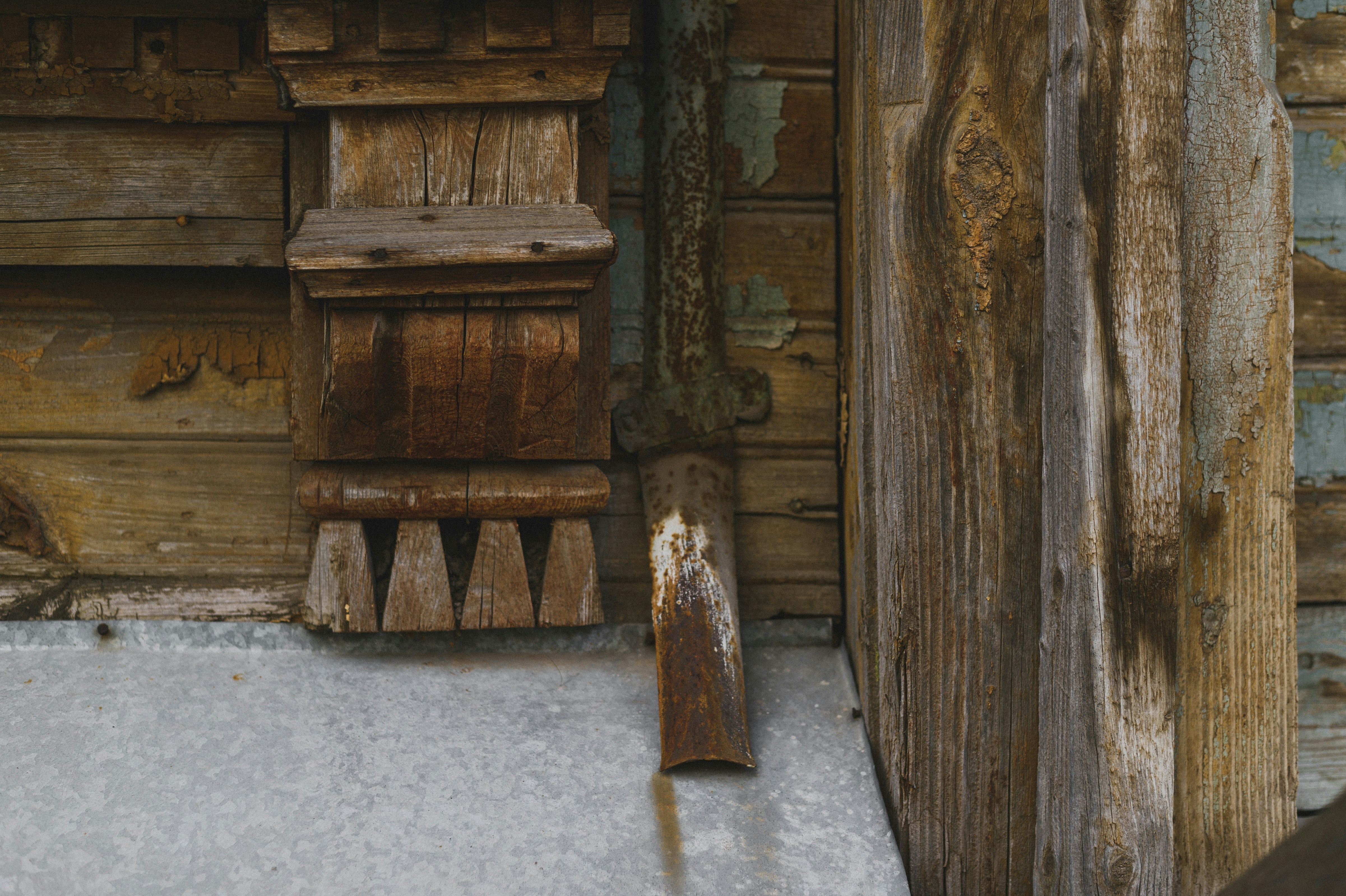 Photo by vonshnauzer