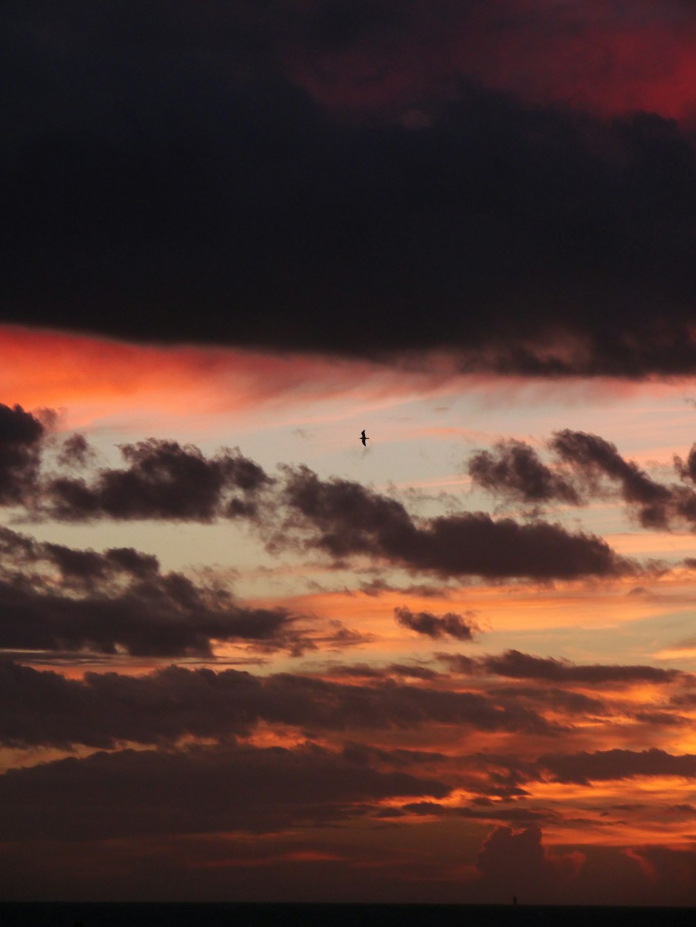 a plane flying in the sky at sunset