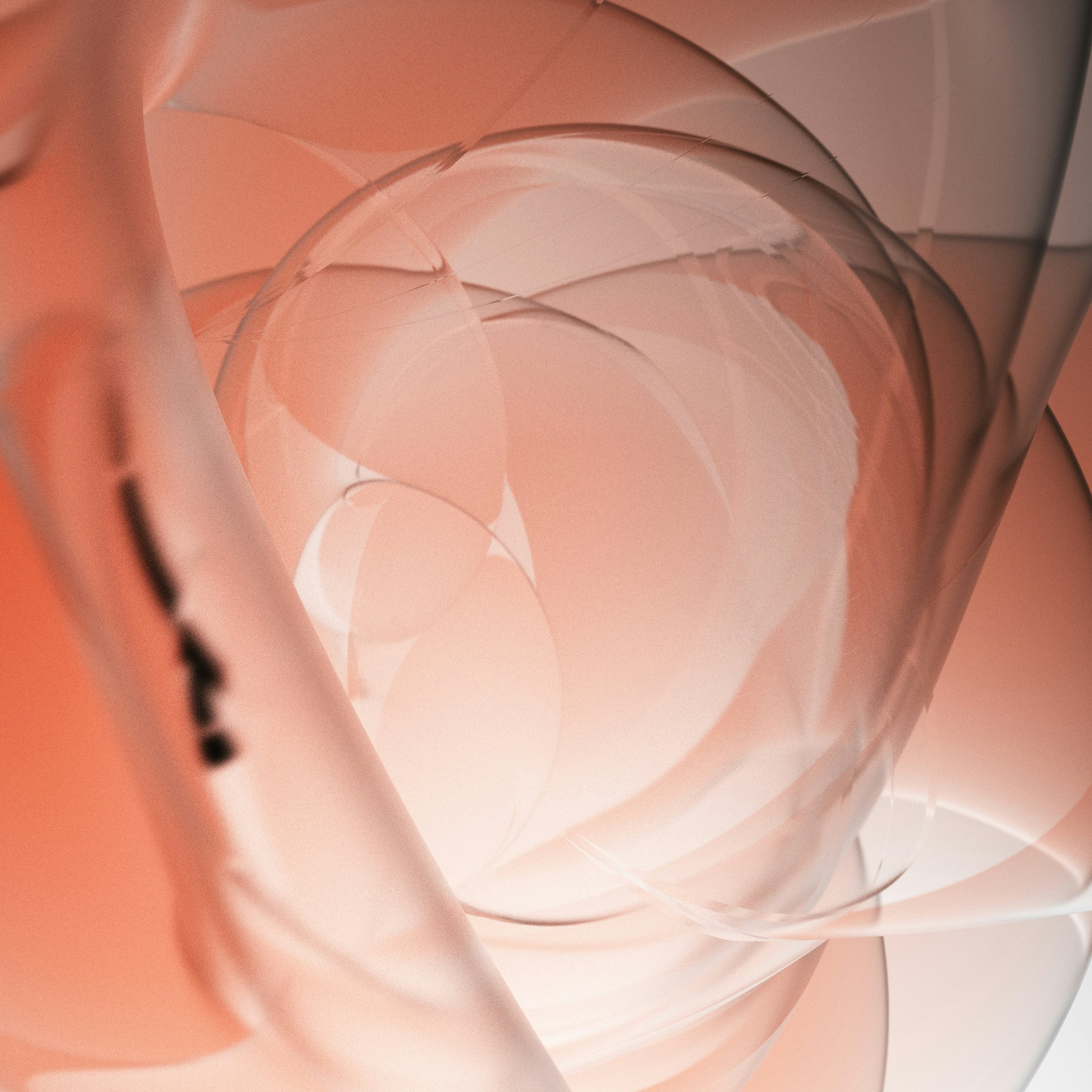 Photo by rick_rothenberg