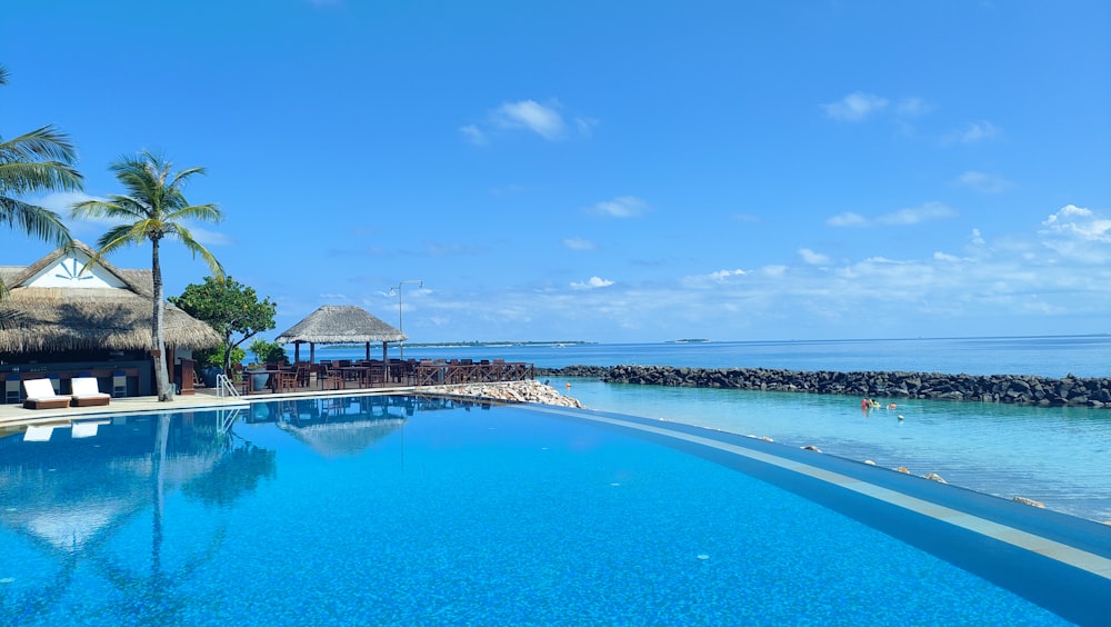 a large swimming pool surrounded by palm trees