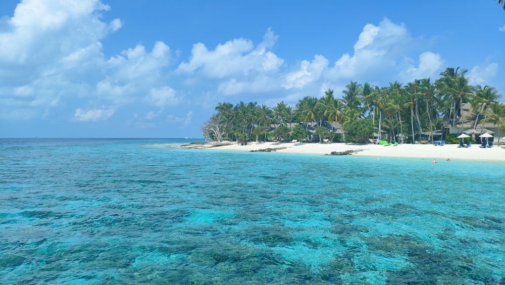 a beach with palm trees and blue water