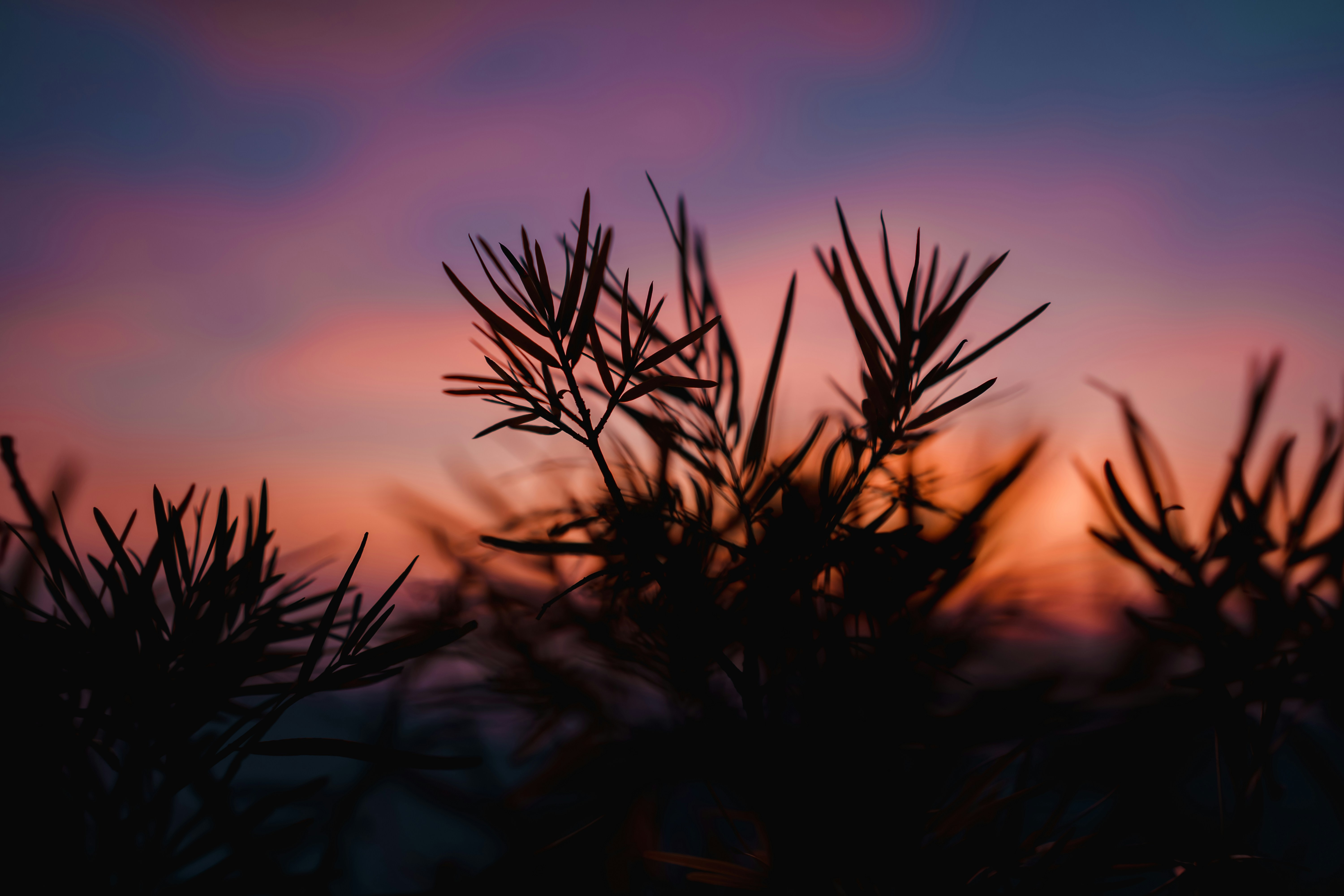 Photo by viditgoswami