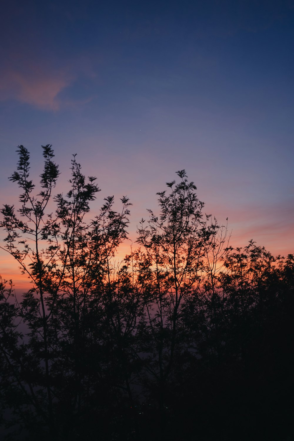 the sun is setting behind some trees