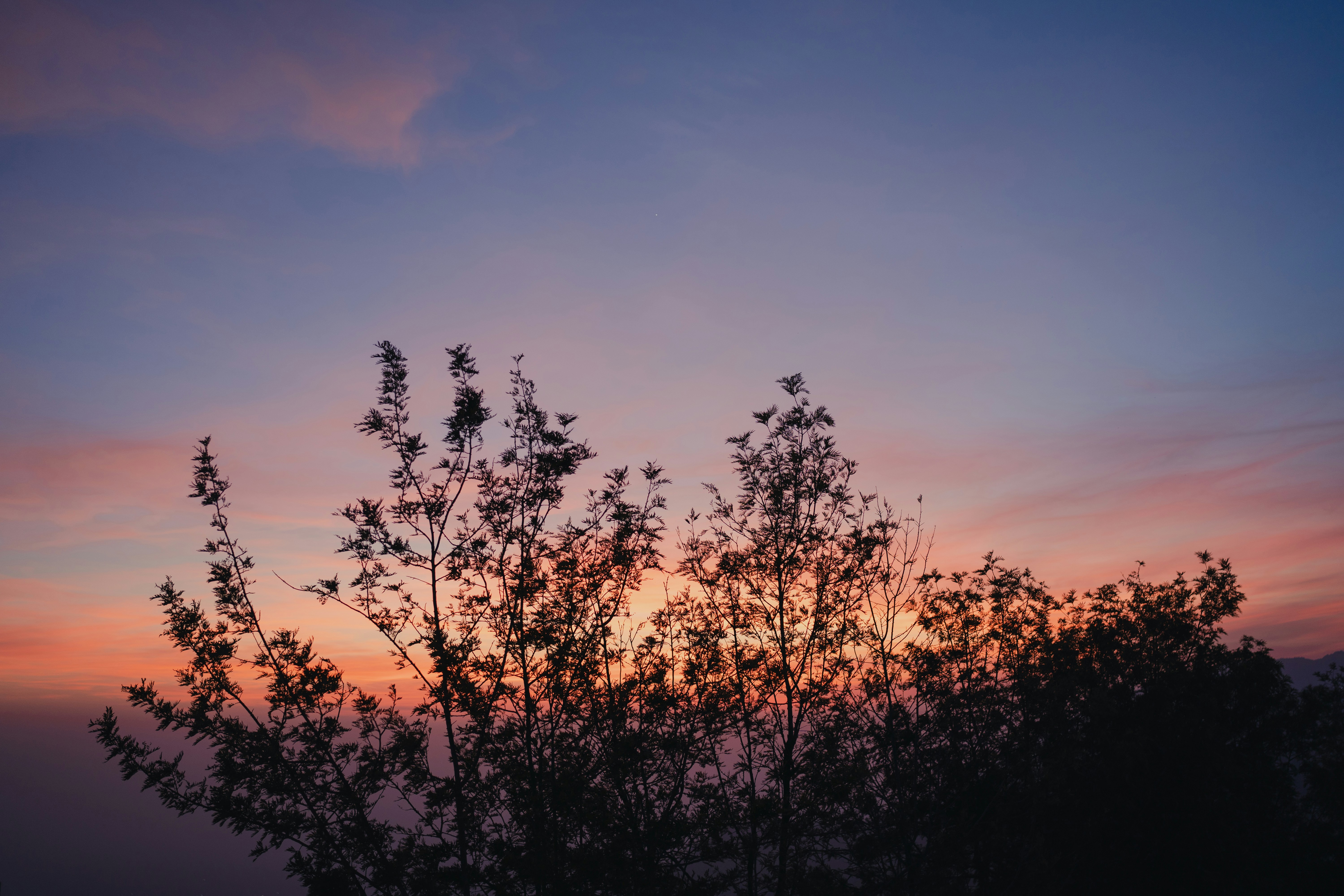 Photo by viditgoswami