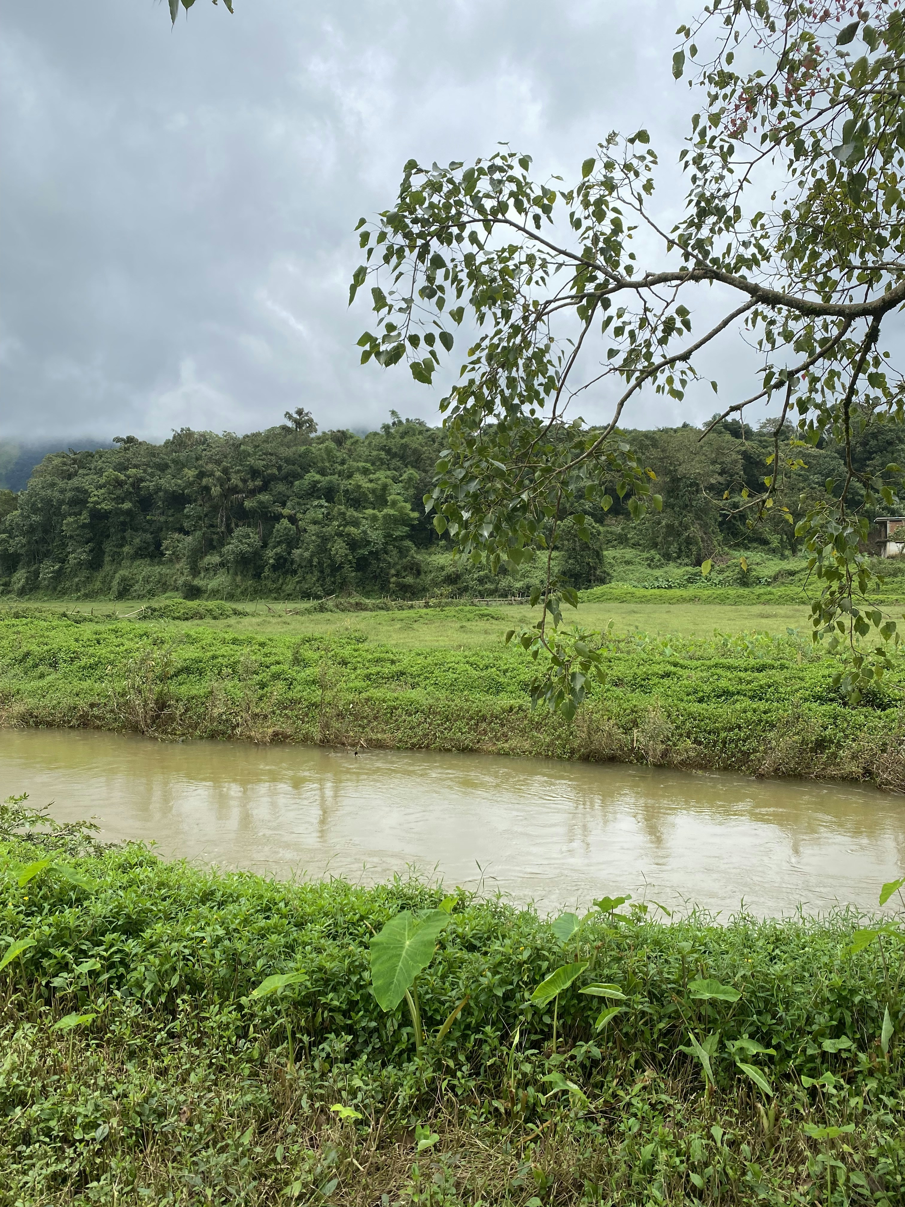 Photo by anumaitridiv_01