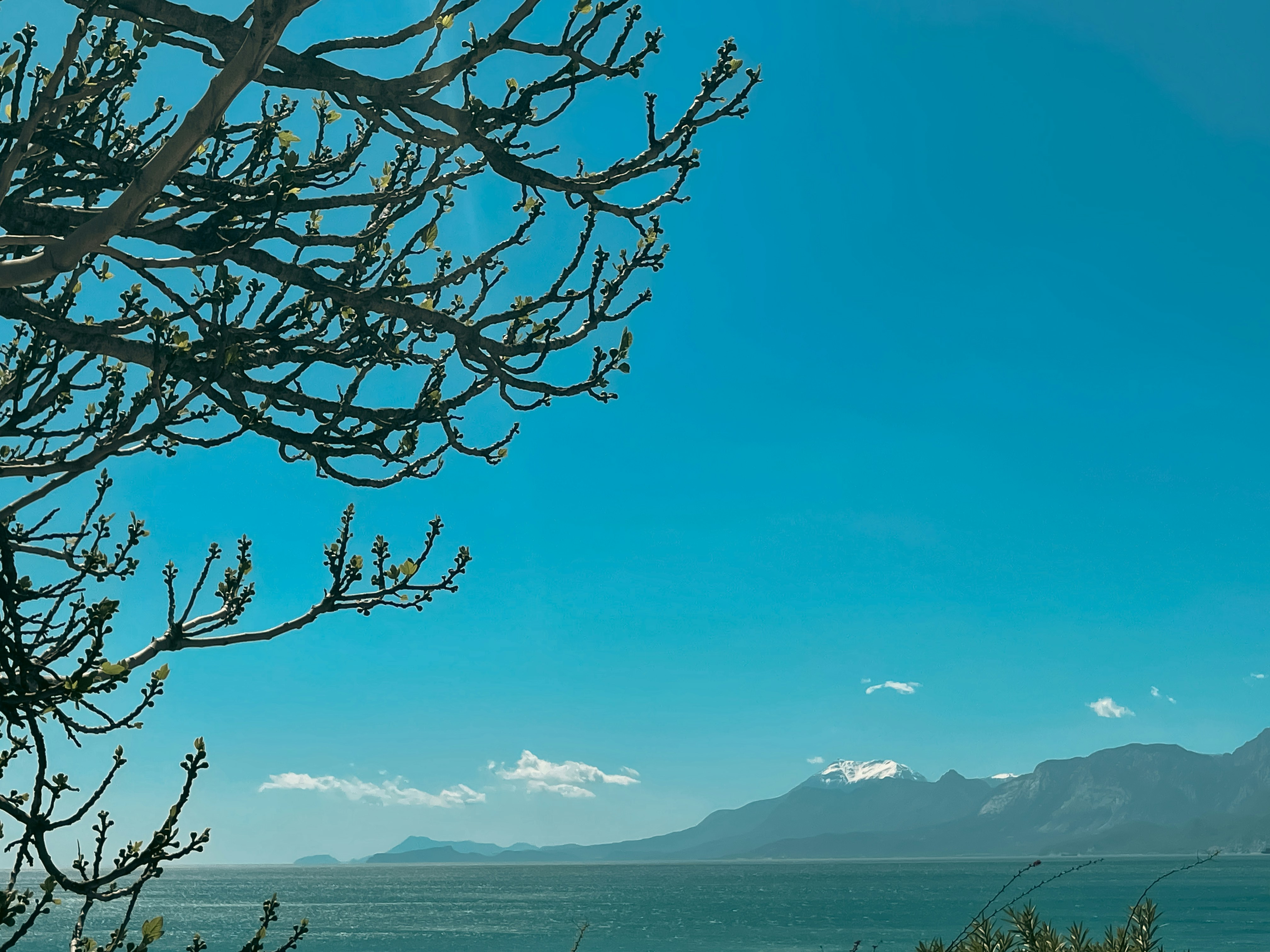 a view of a mountain and a body of water