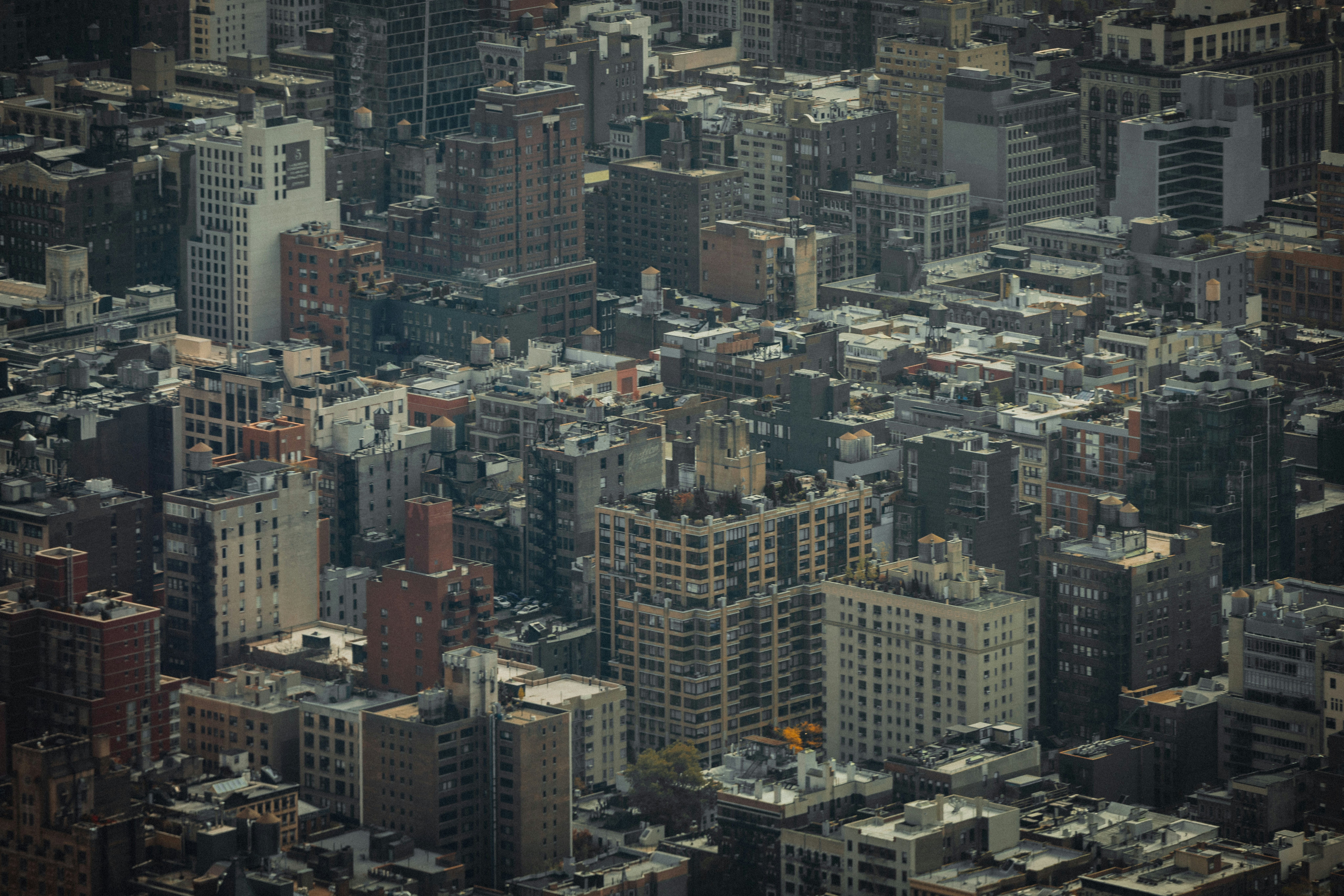 Photo by chalogallardo