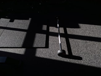 A vibrant scene of kids practicing on bars and mats with sunlight streaming through large windows.