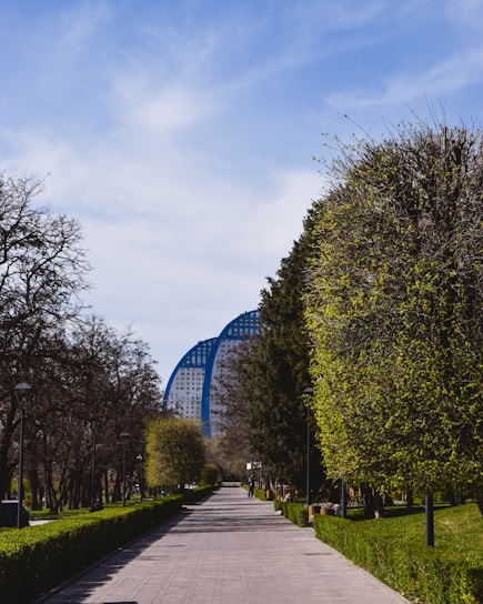 A pathway lined with trees leading towards a modern, uniquely shaped building in the background. The trees on either side of the path are a mix of bare branches and lush green foliage, suggesting a transition between seasons. The sky above is mostly clear with a few wispy clouds.