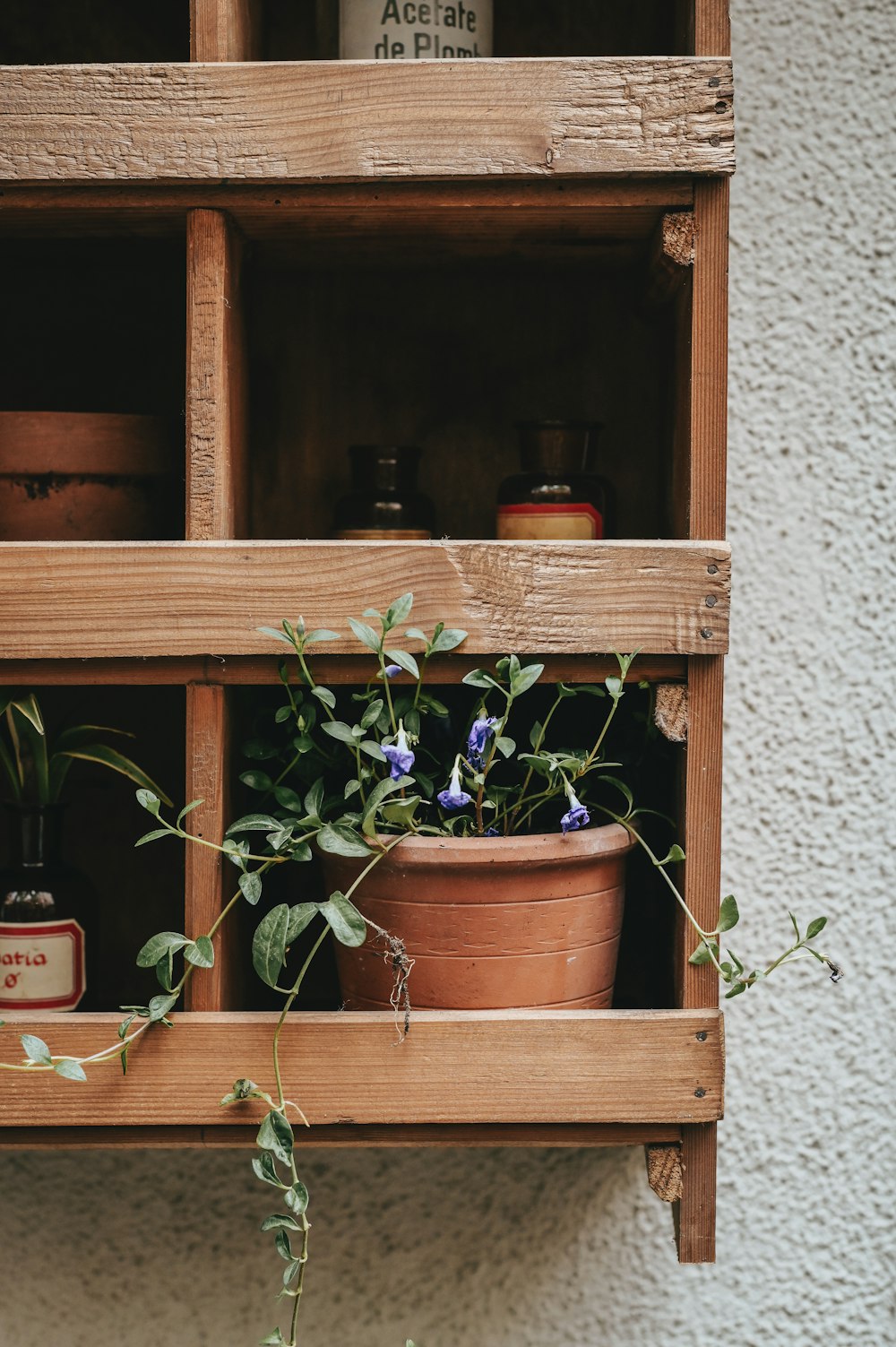 a wooden shelf filled with potted plants on top of a wall