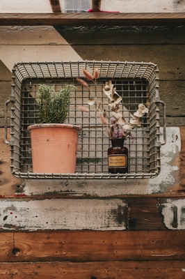 A metal basket is mounted on a rustic wooden wall. Inside the basket, there is a potted plant with green foliage in a terra-cotta pot. Next to it, a small brown glass bottle with a label that says 'Phenolum salicylicum' contains dried flowers. The environment suggests a mix of industrial and natural elements.