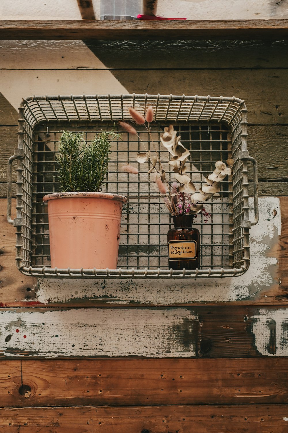 a metal basket holding a potted plant on a wooden wall