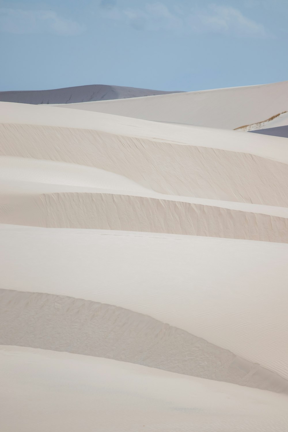 a person riding a horse in the middle of a desert