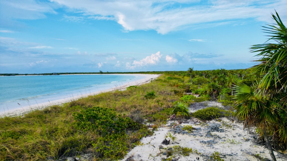 a view of a beach and a body of water