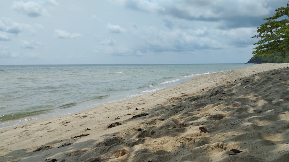 a sandy beach with waves coming in to shore