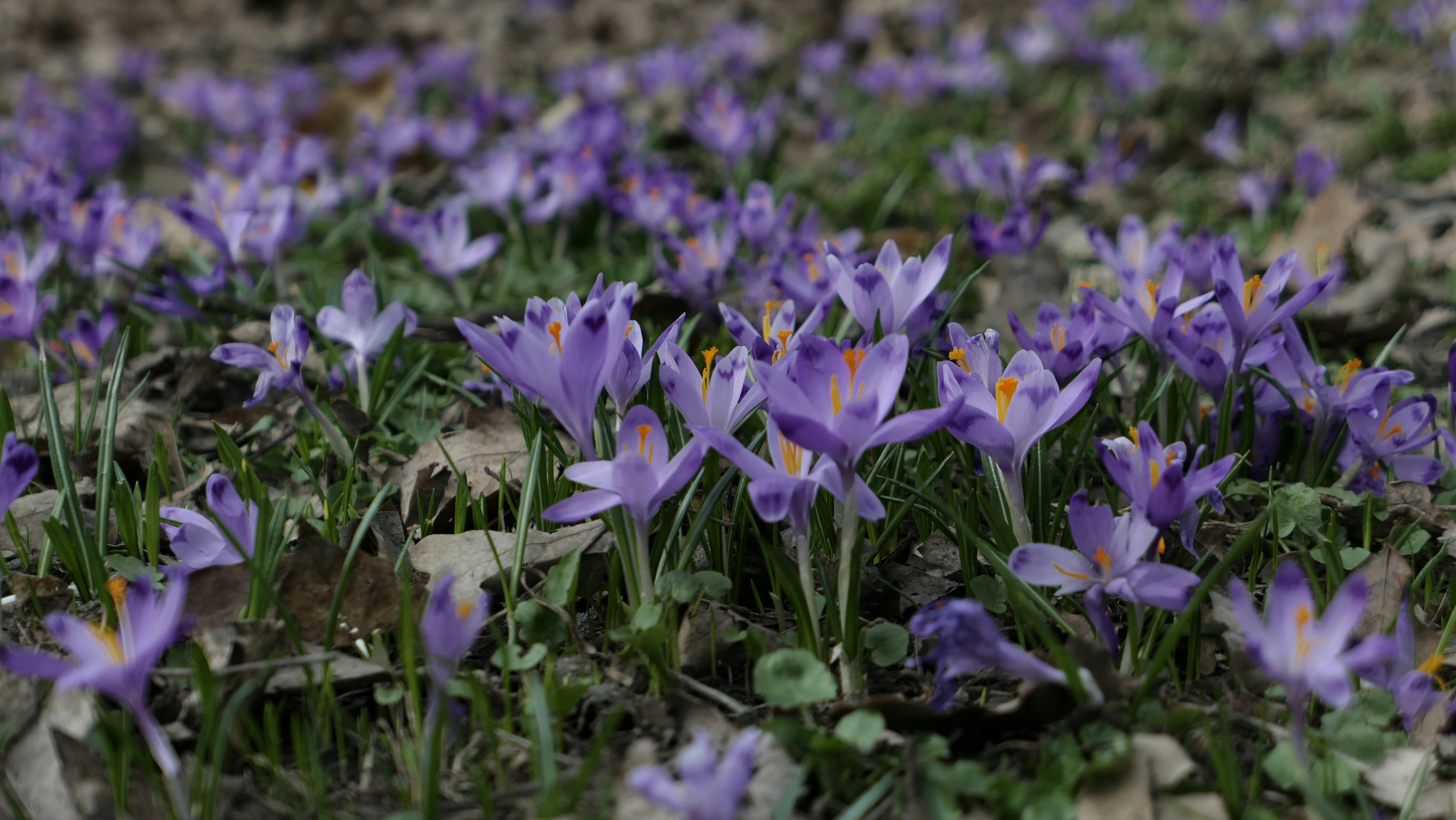 Photo by margarita_trofimova