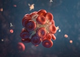 a red blood cell in a blood vessel