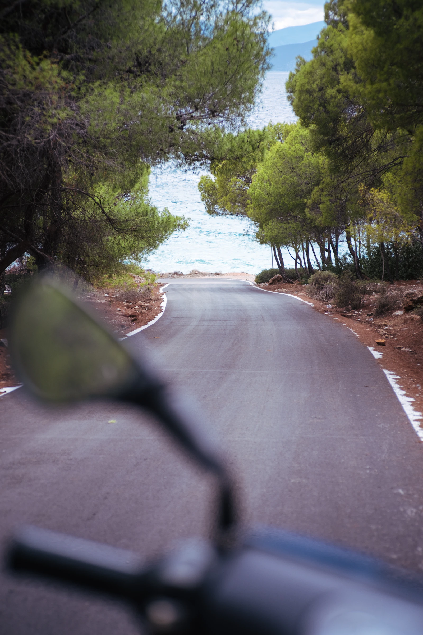 Greek road descends between pine trees toward a bright beach