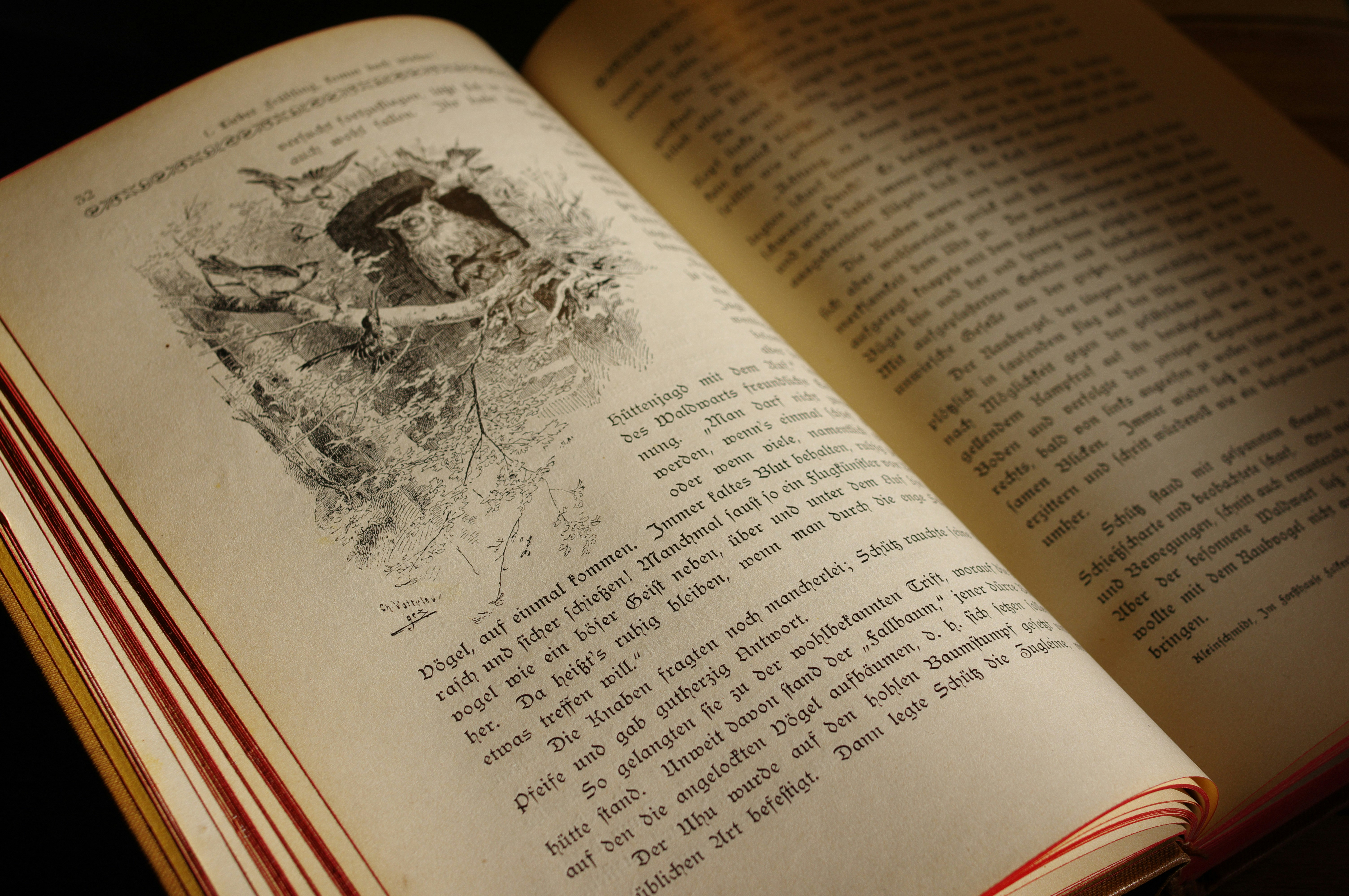 Open book with mystical imagery