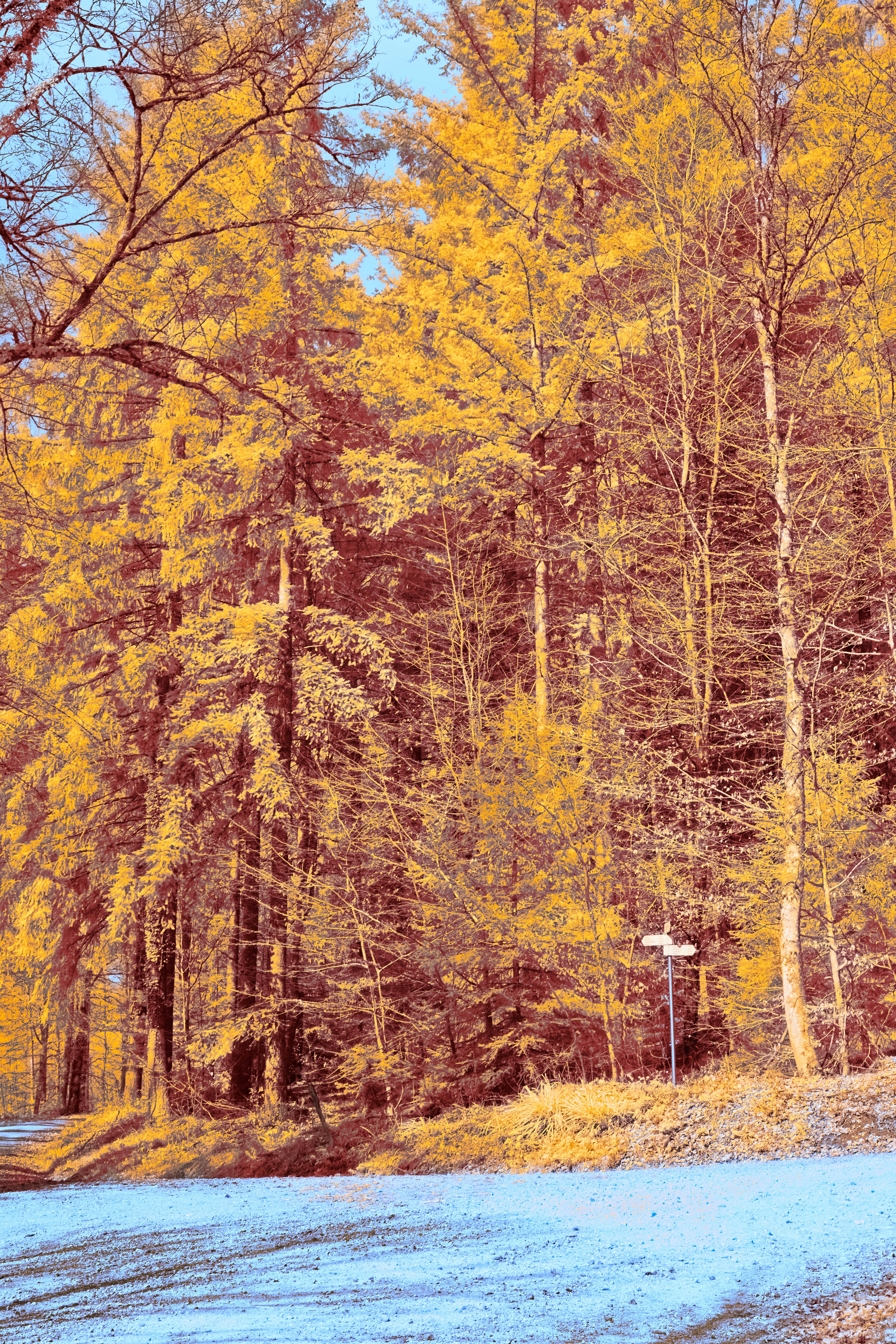 Photo by wolfgang_hasselmann