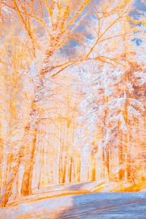 Side-by-side thumbnail of a peaceful forest scene, line art on the left and a warm, colored version on the right.