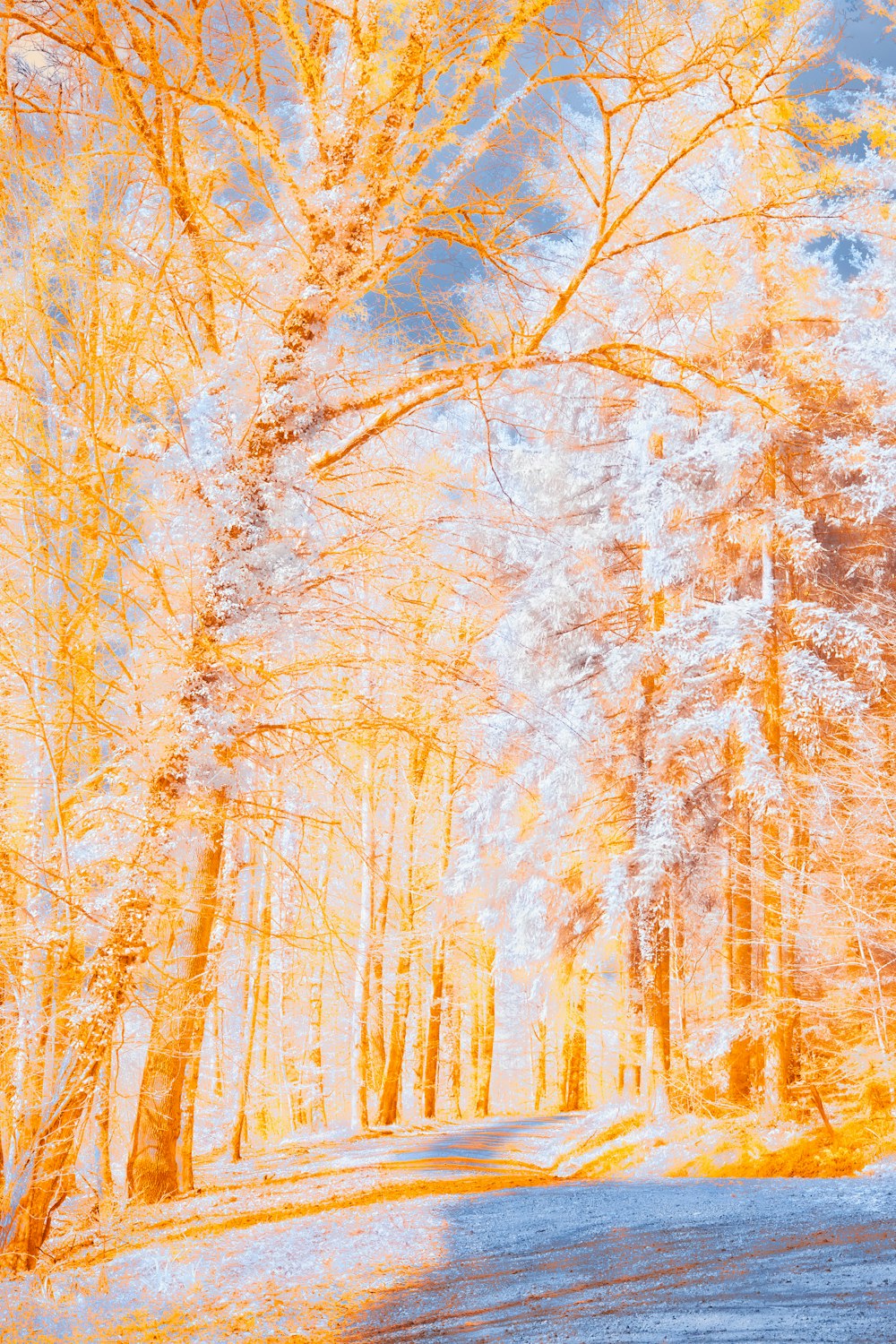 a painting of a road surrounded by trees