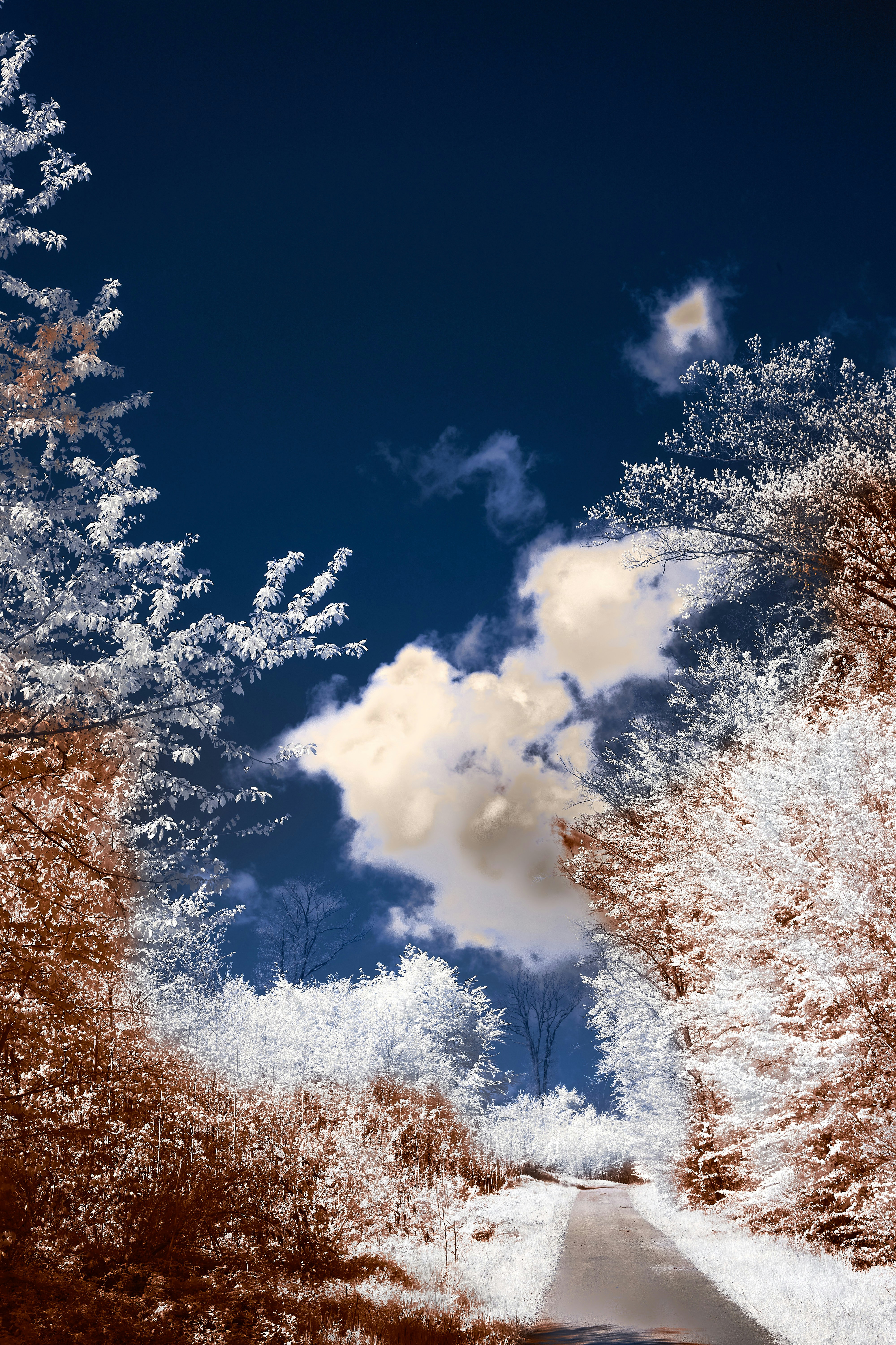 Photo by wolfgang_hasselmann