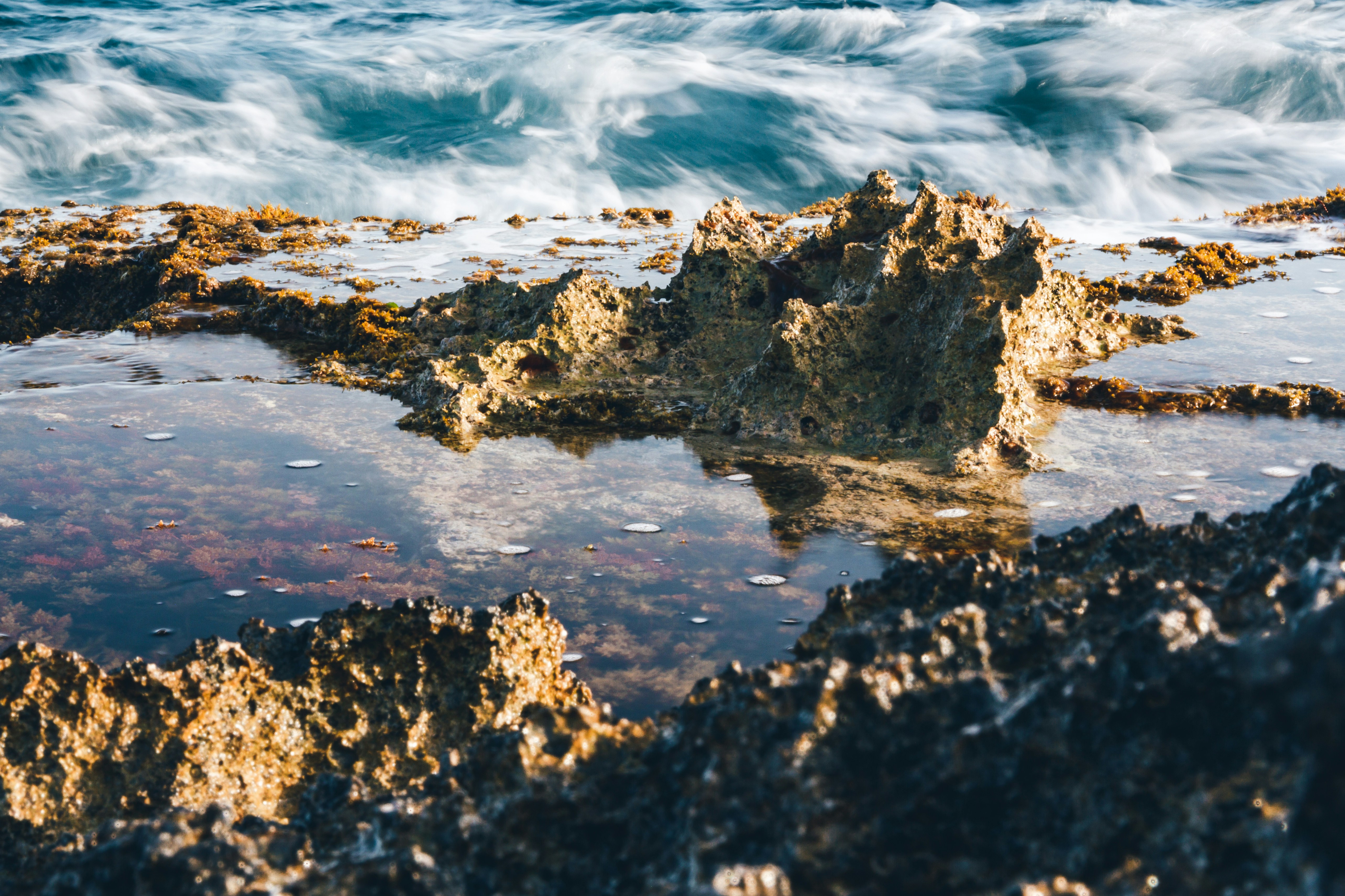 Photo by ninaslashchilina