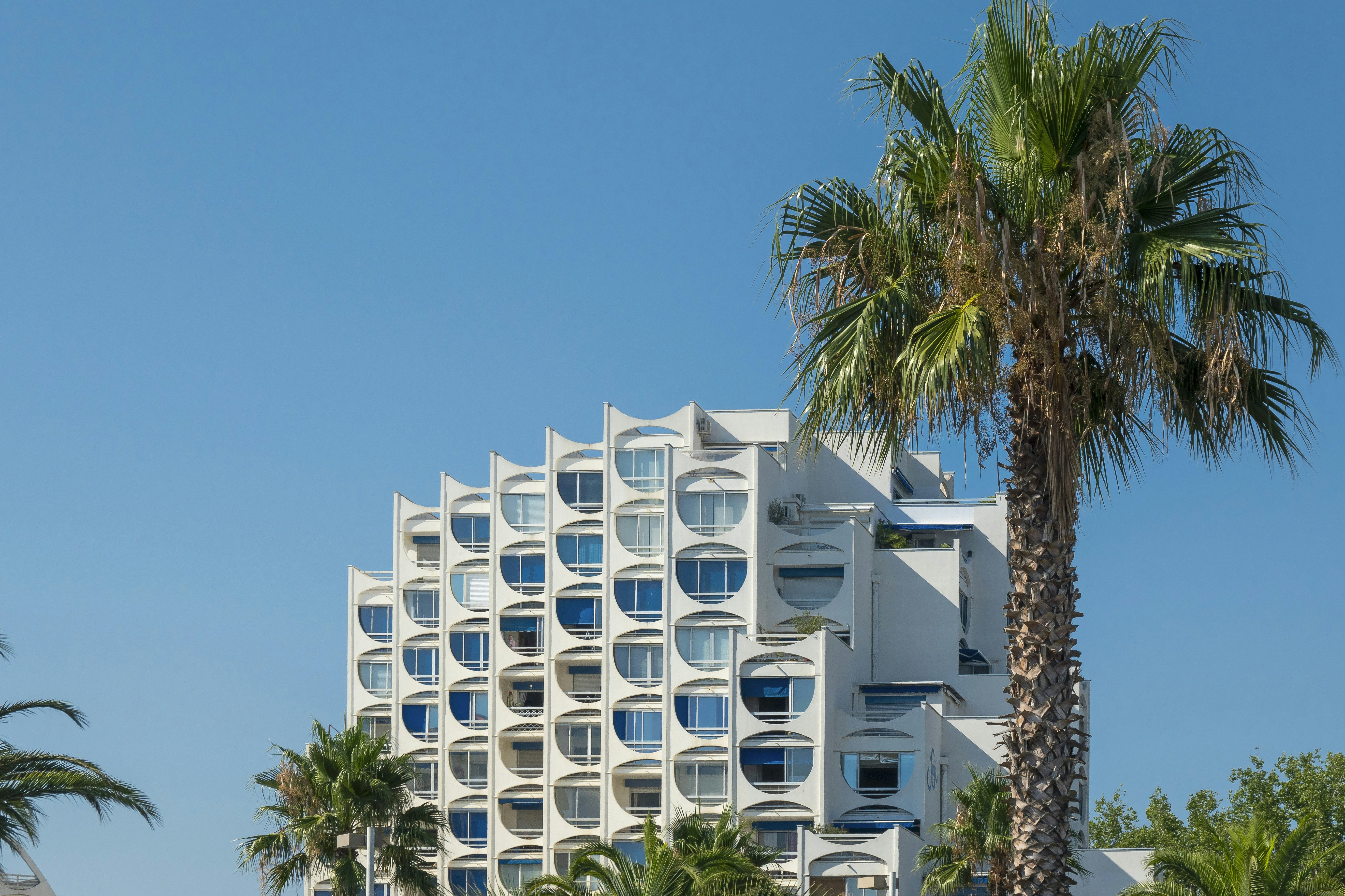 a tall white building sitting next to palm trees