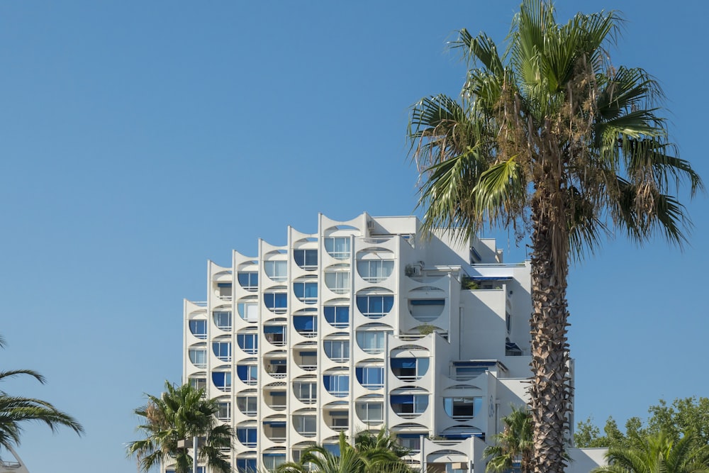 a tall white building sitting next to palm trees