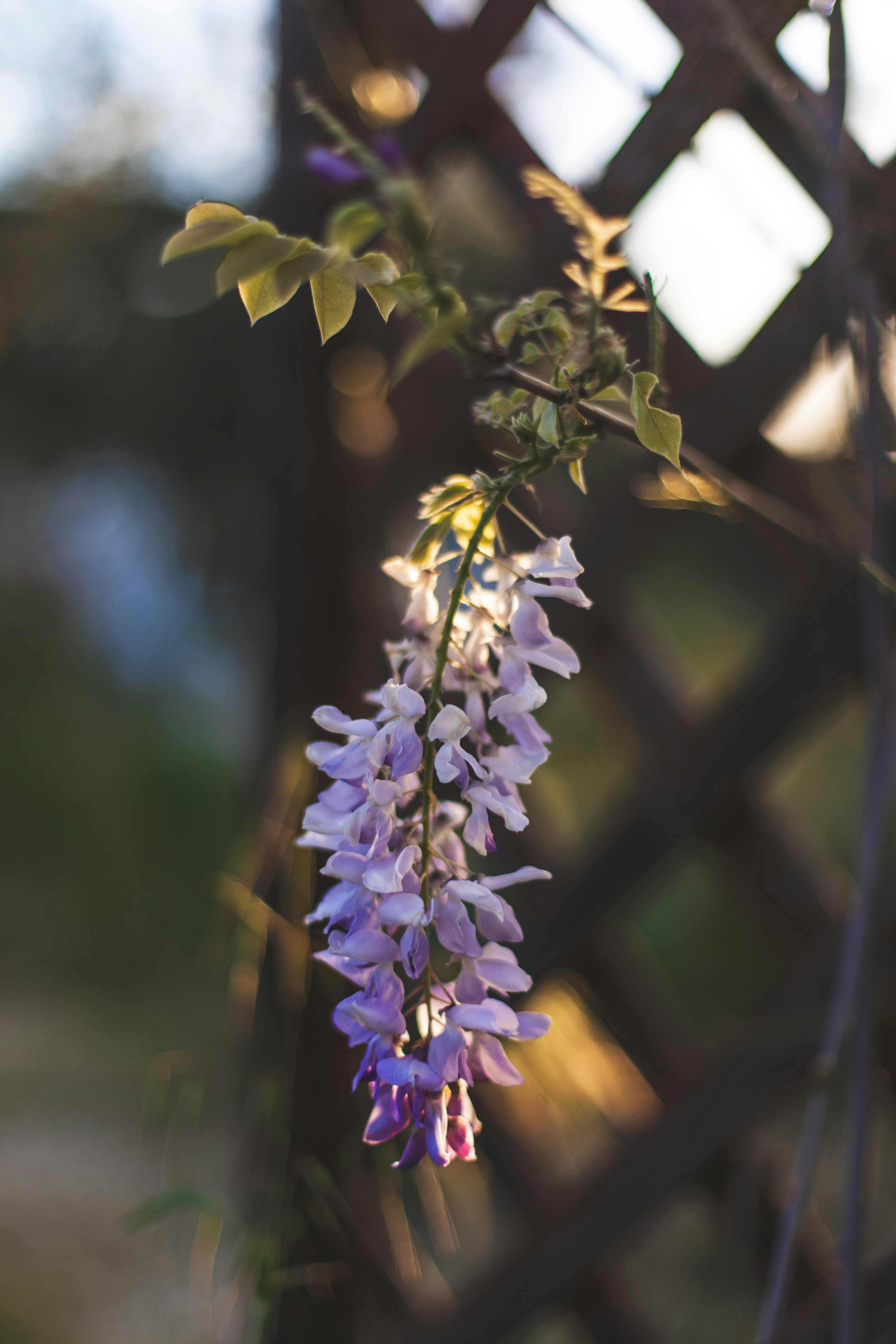 Photo by sixteenmilesout