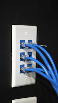 A white wall plate with multiple Ethernet ports, each connected to a blue network cable. The wall plate is mounted on a black wall, and the cables are neatly inserted into the jacks.