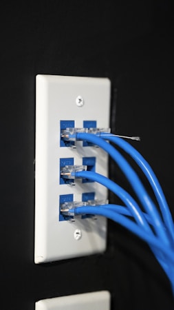 A white wall plate with multiple Ethernet ports, each connected to a blue network cable. The wall plate is mounted on a black wall, and the cables are neatly inserted into the jacks.