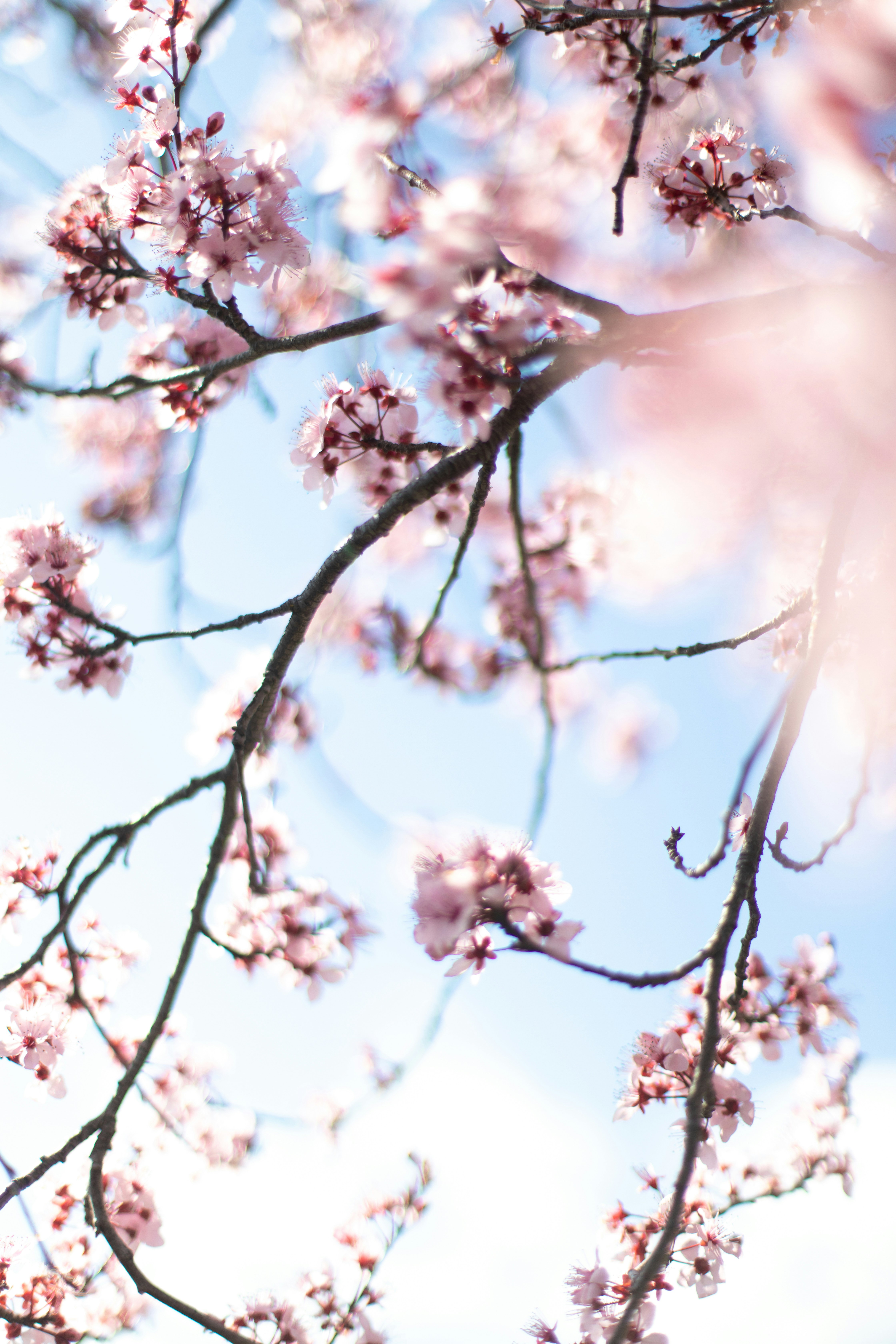 Photo by sixteenmilesout