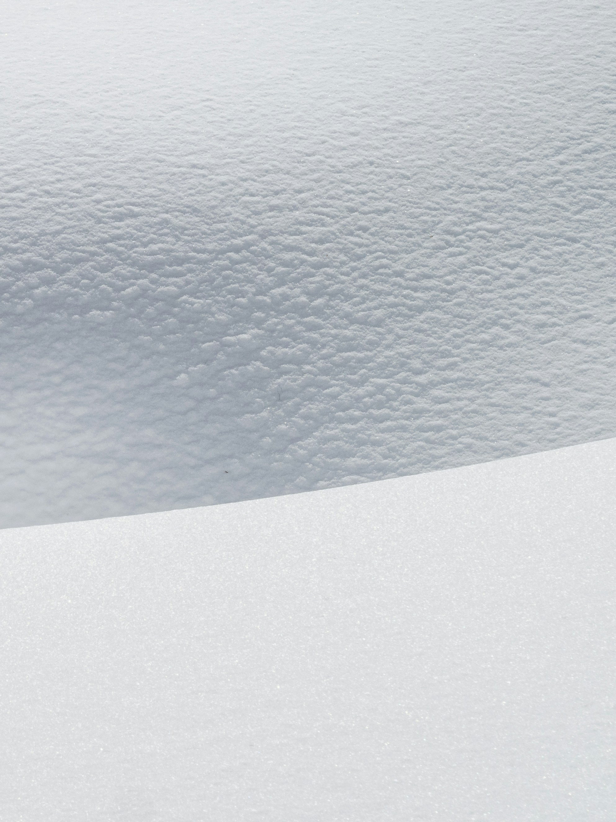 Photo by greg_rosenke